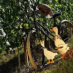 Il Gioco Dell'oca Nocleg ze śniadaniem 3*