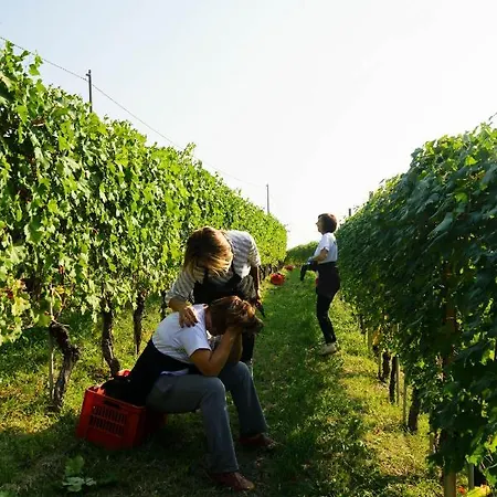 Agriturismo Il Gioco Dell'oca Бароло