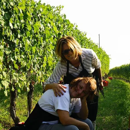 Il Gioco Dell'oca Frühstückspension 3*