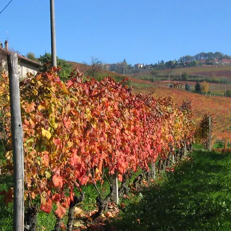 Il Gioco Dell'oca 3*