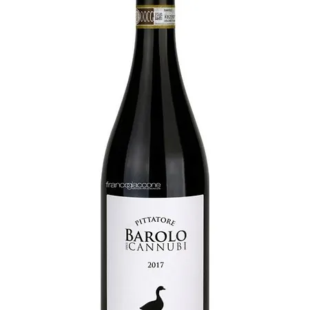 Panzió Il Gioco Dell'oca Barolo