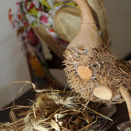 Il Gioco Dell'oca Panzió Barolo