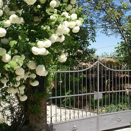 Il Gioco Dell'oca 3* Barolo