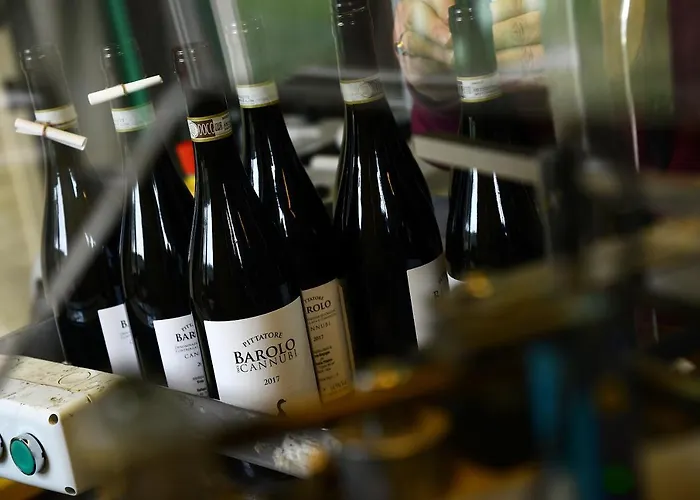 Frühstückspension Il Gioco Dell'oca Barolo