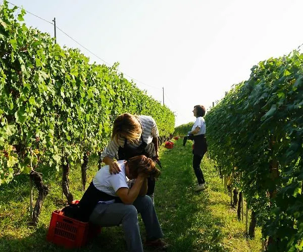 Il Gioco Dell'oca Barolo