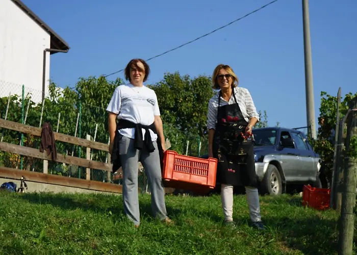 Il Gioco Dell'oca Frühstückspension 3*