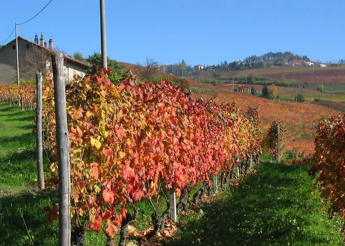 Il Gioco Dell'oca 3*