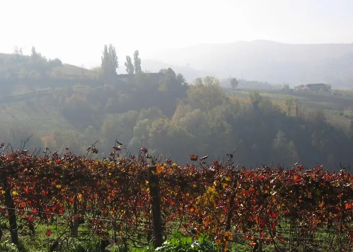 伊尔吉奥科奥卡农家乐 住宿加早餐酒店 3*