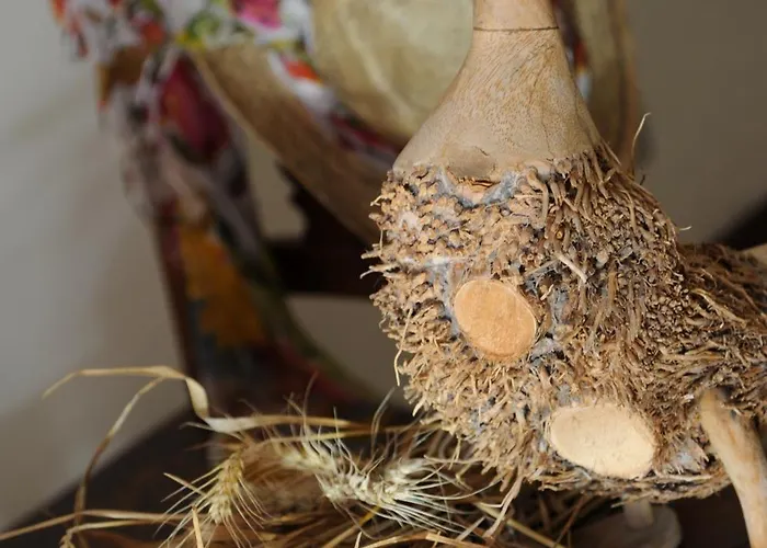 Il Gioco Dell'oca Bed and Breakfast Barolo